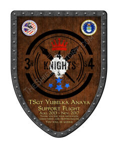 344th Air Force Military Appreciate Award Shield