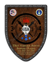 Military air force award shield with wood background